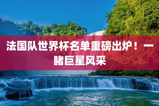 法国眉山市正发家政服务有限公司队世界杯名单重磅出炉！一睹巨星风采