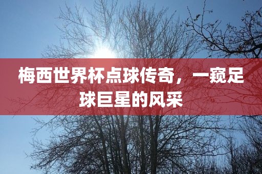 梅西世界杯点球传奇，一窥足球巨星的风采