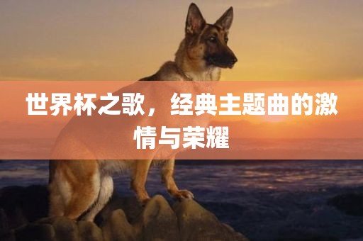 世界杯之歌，经典主题曲的激情与荣耀