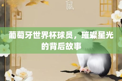 葡萄牙世界杯球员，璀璨星光的背后故事