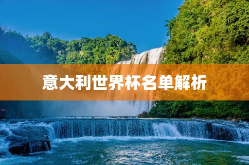 意大利世界杯名单解析