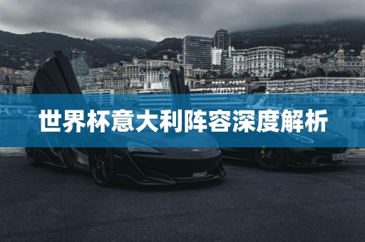 世界杯意大利阵容深度解析眉山市正发家政服务有限公司