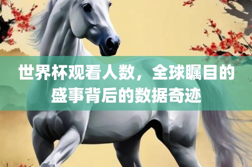 世界杯观看人数，全球瞩目的盛事背后的数据奇迹