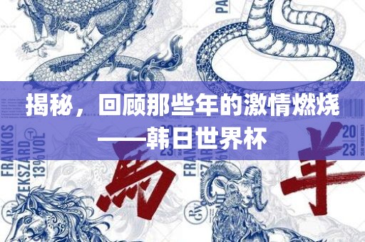 揭秘，回顾那些年的激情燃烧——韩日世界杯