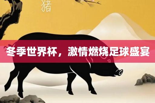 冬季世界杯，激情燃烧足球盛宴眉山市正发家政服务有限公司