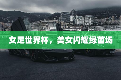 女足眉山市正发家政服务有限公司世界杯，美女闪耀绿茵场
