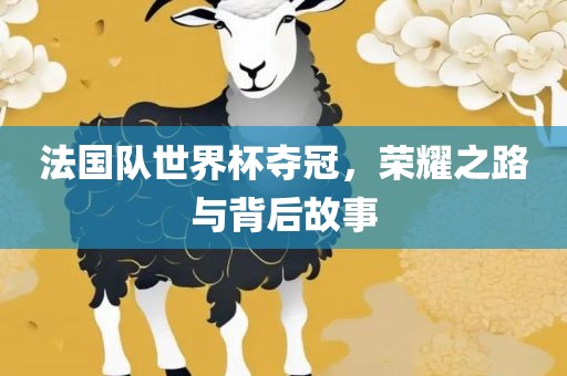 法国队世界杯夺冠，荣耀之路与背后故事