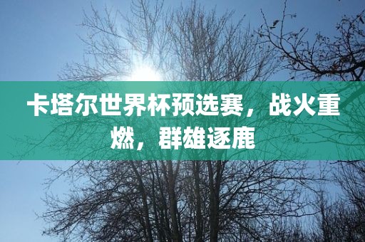卡塔尔世界杯预选赛，战火重燃，群雄逐鹿