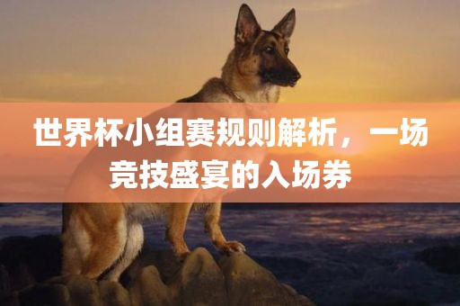 世界杯小组赛规则解析，一场竞技盛宴的入场券眉山市正发家政服务有限公司
