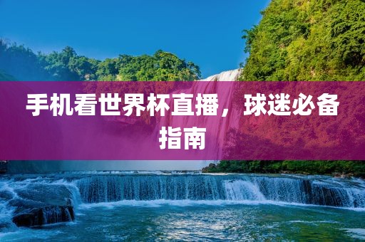 手机看世界杯直播，球迷必备指南眉山市正发家政服务有限公司