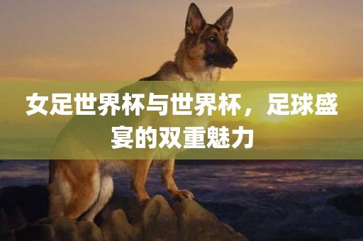 女足世界杯与世界杯，足球盛宴的双重魅力眉山市正发家政服务有限公司