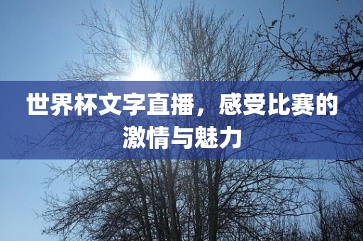 世界杯文字直播，感受比赛的激情与魅力