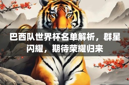 巴西队世界杯名单解析，群星闪耀，期待荣耀归来
