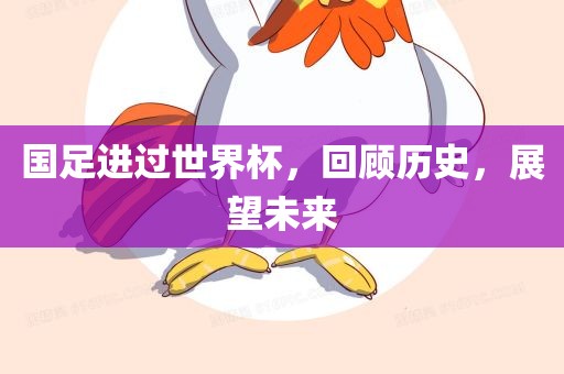 国足进过世界杯，回顾历史，展望未来眉山市正发家政服务有限公司