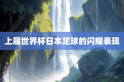 上届世界杯日本足球的闪耀表现