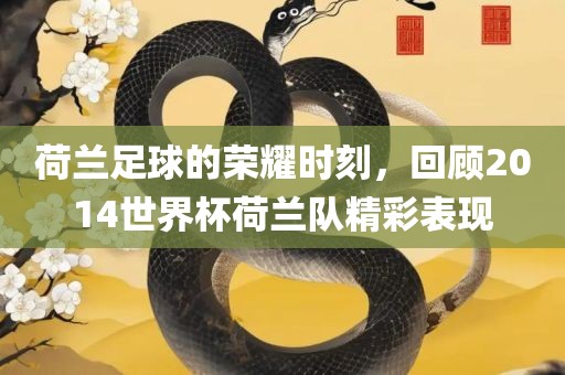 眉山市正发家政服务有限公司荷兰足球的荣耀时刻，回顾2014世界杯荷兰队精彩表现