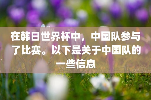 在韩日世界杯中，中国队参与了比赛。以下是关于中国队的一些信息
