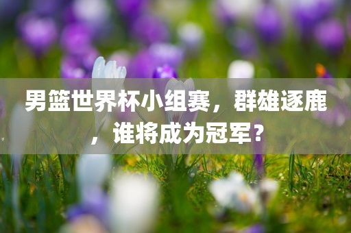 男篮世界杯小组赛，群雄逐鹿，谁将成为冠军？