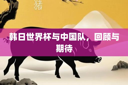韩日世界杯与中国队，回顾与期待