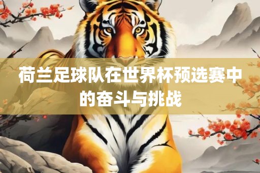 荷兰足球队在世界杯预选赛中的奋斗与挑战