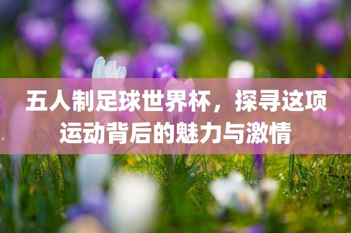 五人制足球世界杯，探寻这项运动背后的魅力与激情