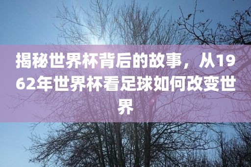 揭秘世界杯背后的故事，从1962年世界杯看足球如何改变世界眉山市正发家政服务有限公司