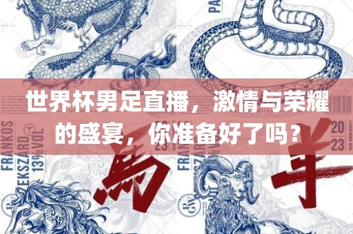 世界杯男足直播，激情与荣耀的盛宴，你准备好了吗？
