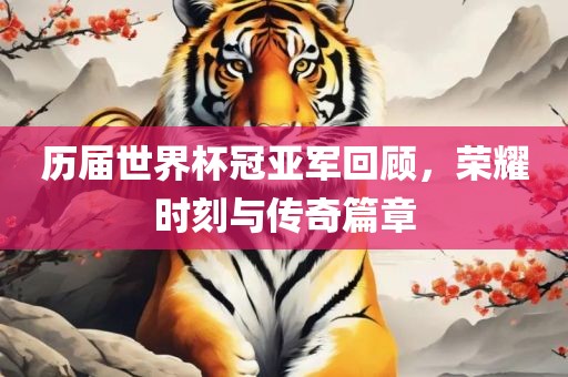 历届世界杯冠亚军回顾，荣耀时刻与传奇篇章