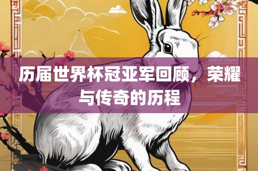 历届世界杯冠亚军回顾，荣耀与传奇的历程眉山市正发家政服务有限公司