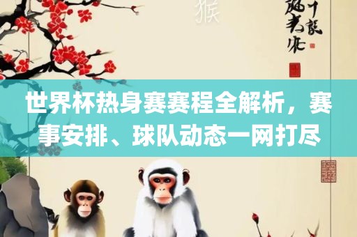世界杯热身赛赛程全解析，赛事安排、球队动态一网打尽