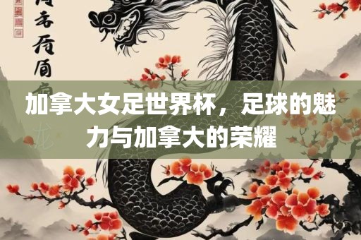 加拿大女足世界杯，足球的魅力与加拿大的荣耀
