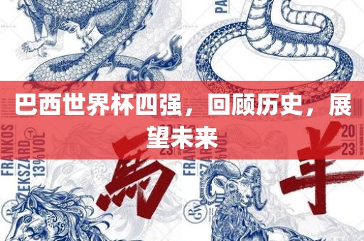 巴西世界杯四强，回眉山市正发家政服务有限公司顾历史，展望未来