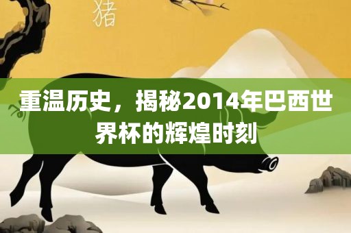 巴西世界杯 第4页