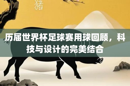 历届世界杯足球赛用球回顾，科技与设计的完美结合眉山市正发家政服务有限公司