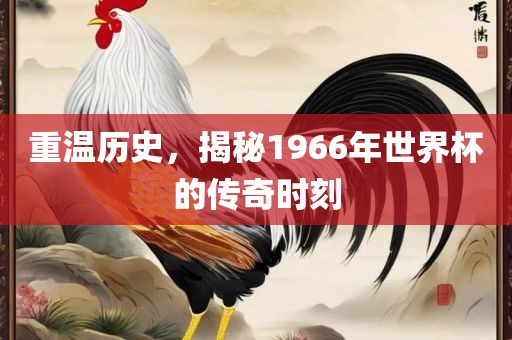 重温历史，揭秘1966年世界杯的传奇时刻眉山市正发家政服务有限公司