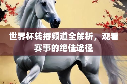 世界杯转播频道全解析，观看赛事的绝佳途径