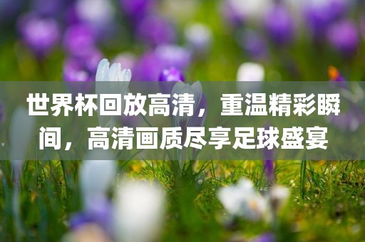 世界杯回放高清，重温精彩瞬间，高清画质尽享足球盛宴