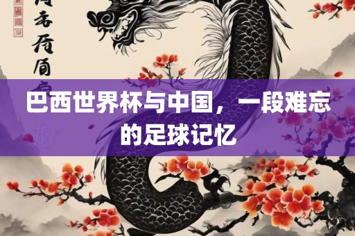 巴西世界杯与中国，一段难忘的足球记忆眉山市正发家政服务有限公司