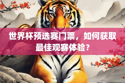 世界杯预选赛门票，如何获取最佳观赛体验？