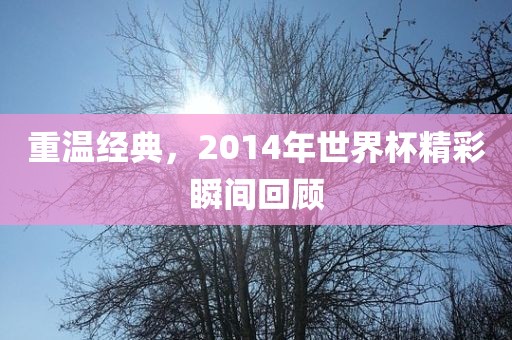 百度热搜 第222页