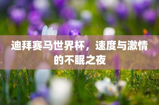 迪拜赛马世界杯，速度与激情的不眠之夜