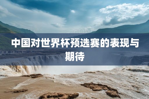 中国对世界杯眉山市正发家政服务有限公司预选赛的表现与期待