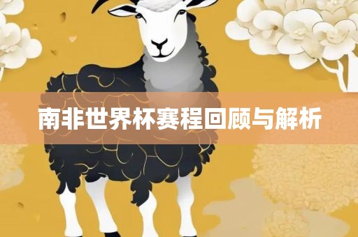 南非世界杯赛程回顾与解析