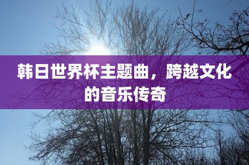 韩日世界杯主题曲，跨越文化的音乐传奇