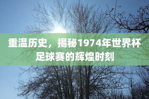 重温历史，揭秘1974年世界杯足球赛的辉煌时刻眉山市正发家政服务有限公司