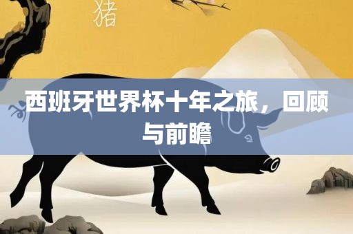 西班牙世界杯十年之旅，回顾与前瞻