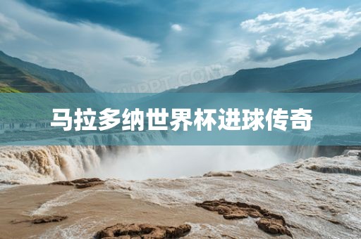 马拉多纳世界杯进球传奇眉山市正发家政服务有限公司