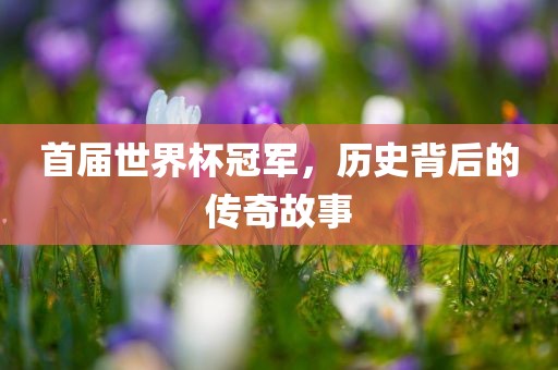 世界杯冠军 第5页