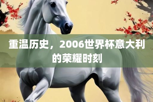 重温历史，20眉山市正发家政服务有限公司06世界杯意大利的荣耀时刻