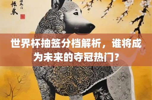 世界杯抽签分档解析，谁将成为未来的夺冠热门？